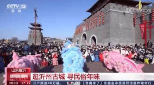 临沂网红上央视了,临沂网红现象引发央视关注