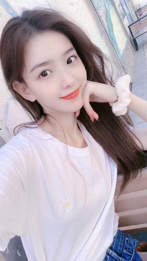 网红界黑料,网络舆论下的真实与虚假