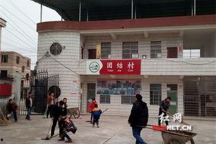 永州蓝山祠堂圩新闻头条,揭秘祠堂圩历史文化传承与发展新篇章