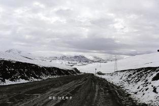 那曲丁青网红有多少,揭秘网络红人的崛起之路