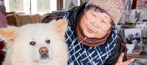 明星的狗去世,爱犬离世，泪洒娱乐圈