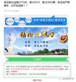 今日头条黄冈版,聚焦本土热点，传递民生温度