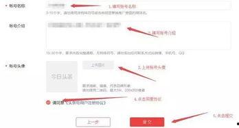 个人发头条,如何打造爆款内容