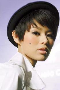 香港明星tvb,香港明星璀璨星光下的传奇故事