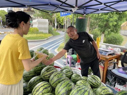 市民吃瓜,揭秘生活百态