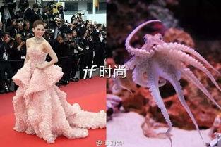 章鱼是哪个明星,揭秘明星章鱼的多面魅力