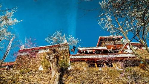 云南网红小殿下拍摄地点,揭秘热门拍摄地