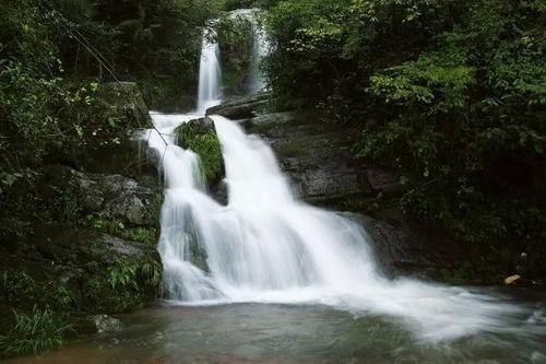 仙居新闻头条天气,气温适中，微风拂面迎春光