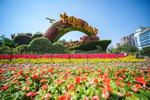 新乡花坛新闻头条,打造城市新地标”