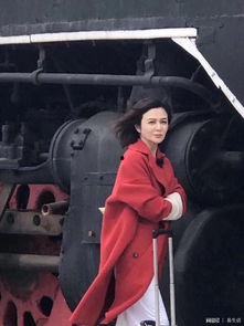 我们来了哈尔滨明星,明星齐聚的精彩瞬间