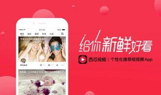 头条西瓜视频怎么学习,从头条学习高效副标题撰写技巧