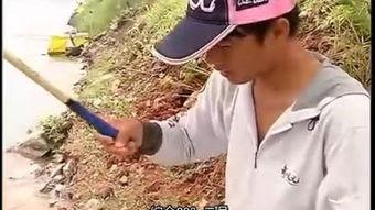 天元邓刚吃瓜,揭秘吃瓜背后的故事与真相