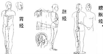 网红经络体,养生新潮流的奥秘探索