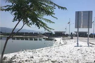 盐湖区最新爆料,揭秘神秘事件背后的真相