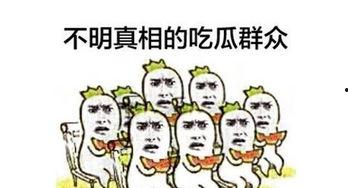 优良吃瓜群众怎么形容,揭秘优良吃瓜群众的独特魅力