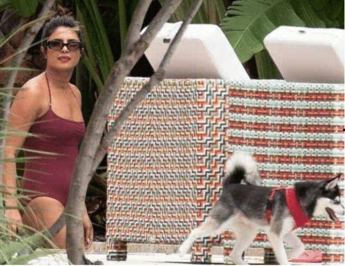 印度比基尼明星免费视频,网络热议