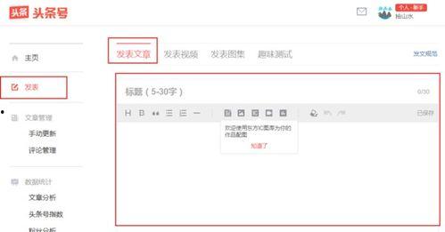 个人如何头条发文章,个人如何高效发布头条文章攻略