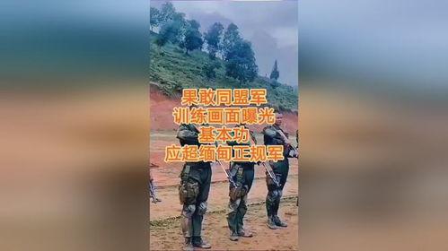 爆料缅北高清视频下载,震撼爆料背后的真相