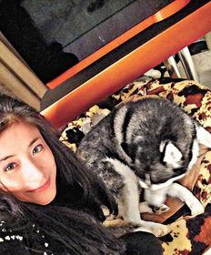 芳芳明星,闪耀舞台的璀璨之星