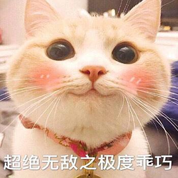 吃瓜火组豆瓣,揭秘网络热议背后的真相与趣味