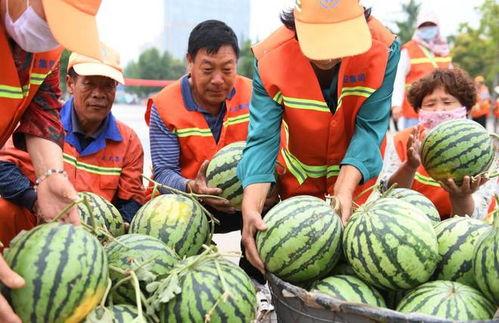 郯城最新吃瓜新闻事件,真相竟如此惊人！