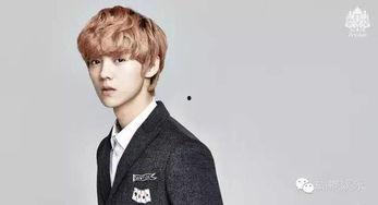 鹿晗有关明星,从偶像到实力派，青春偶像的蜕变之路