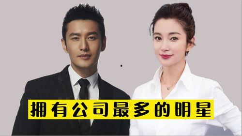 明星多的公司,揭秘明星效应背后的商业帝国