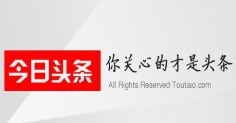 今日头条陈十六呀,揭秘今日头条新晋网红的崛起之路