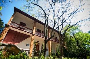 翠湖附近网红打卡餐厅,网红打卡餐厅盘点攻略