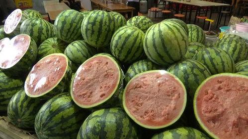 临沭两小只吃瓜,揭秘瓜界风云