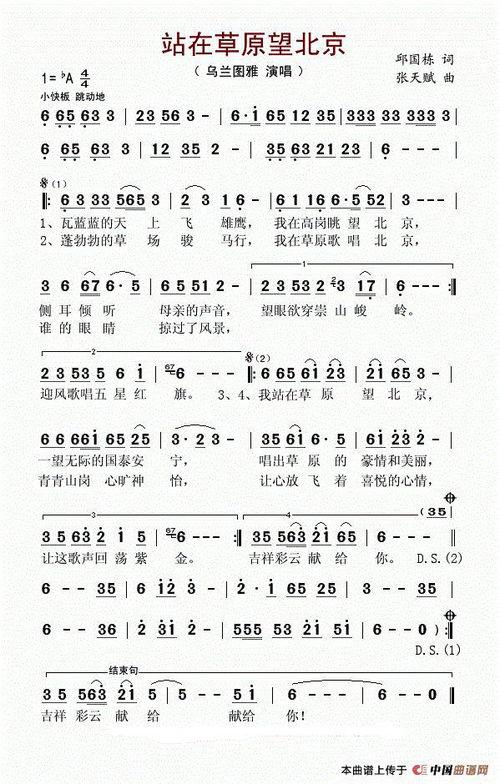 网红歌曲改编作文素材