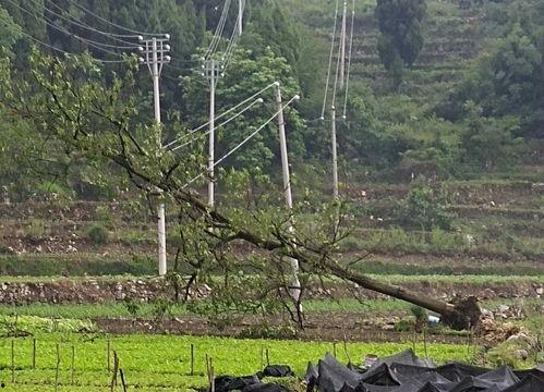 贵州新闻头条普定县,聚焦发展新篇章，共绘乡村振兴图
