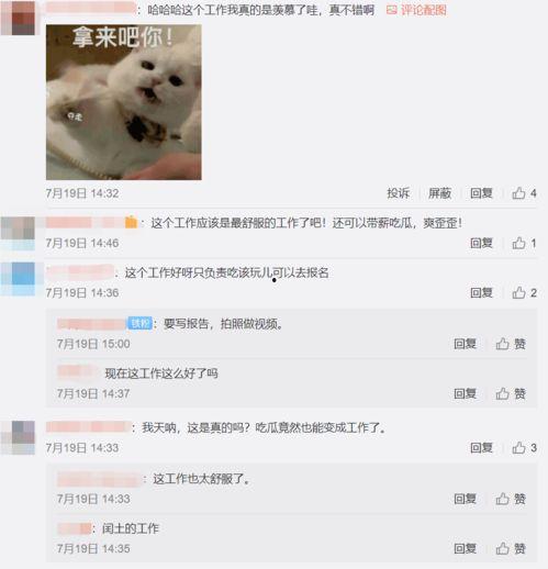 吃瓜专家芮雪伴奏,揭秘娱乐圈幕后真相