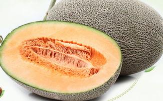 吃没吃哈密瓜,一尝难忘