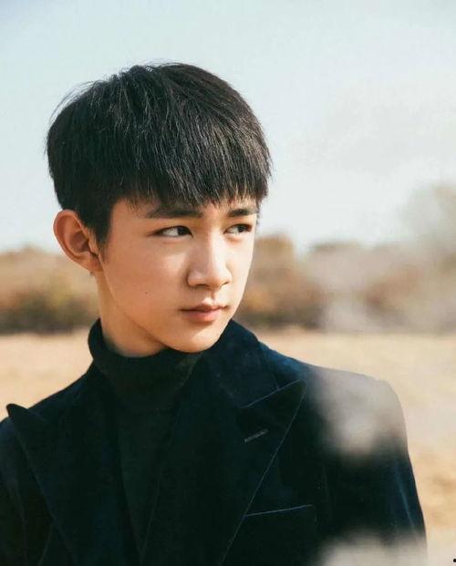 十四岁男明星,十四岁男明星的璀璨星途