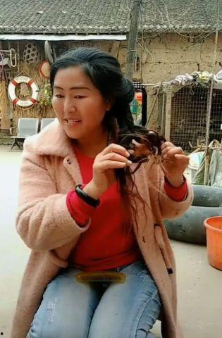 无特长明星,如何在娱乐圈中绽放独特光芒