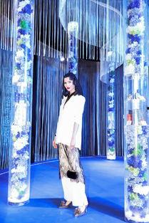 2019头条红毯采访,明星风采与幕后故事大揭秘