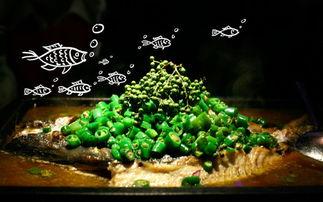 网红探鱼,探寻美食新天地，解锁海鲜美食之旅