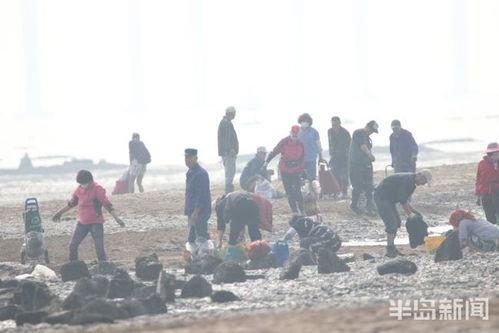 赶海视频爆料,揭秘海洋宝藏的神秘之旅