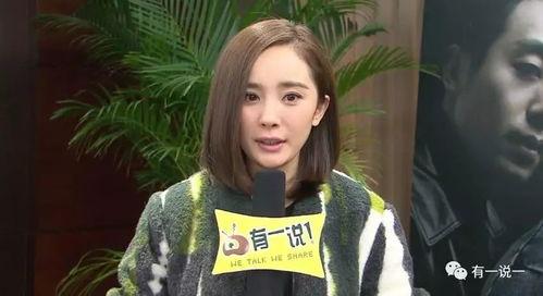 北京明星怼人,勇敢发声，直面争议