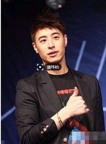 我国明星在国外发展,中国明星的国际化之路