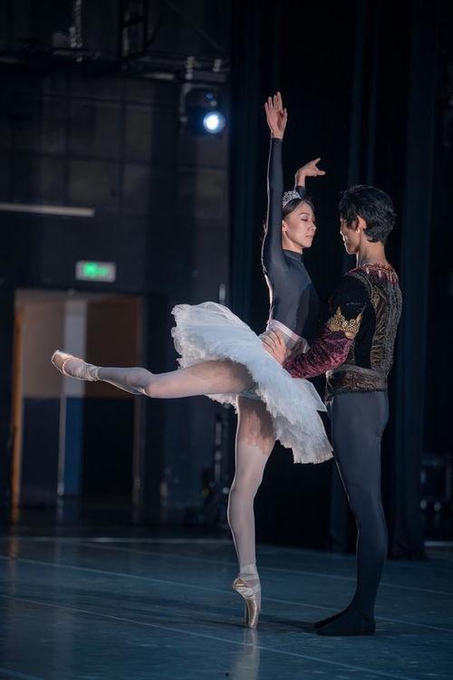 明星职业舞者图片,揭秘明星职业舞者的魅力瞬间