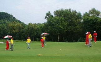 香港明星 高尔夫协会,挥杆风采，星光熠熠的绿茵世界