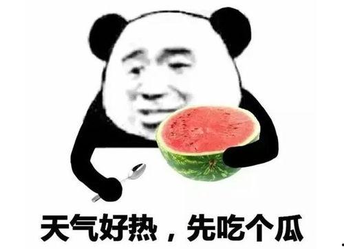 吃瓜比赛表情包图片